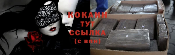 амф Аркадак